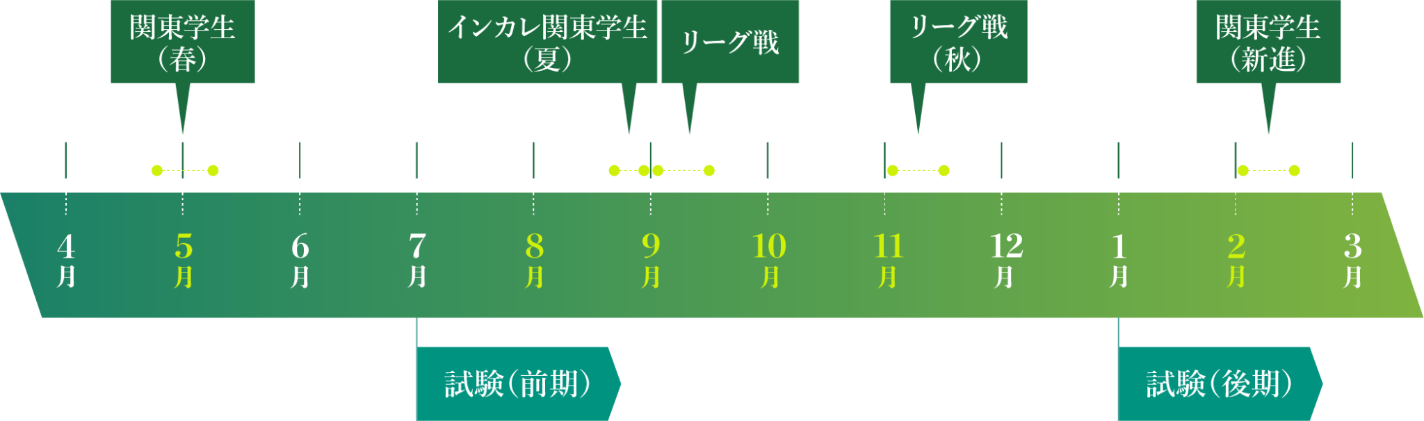 年間スケジュール